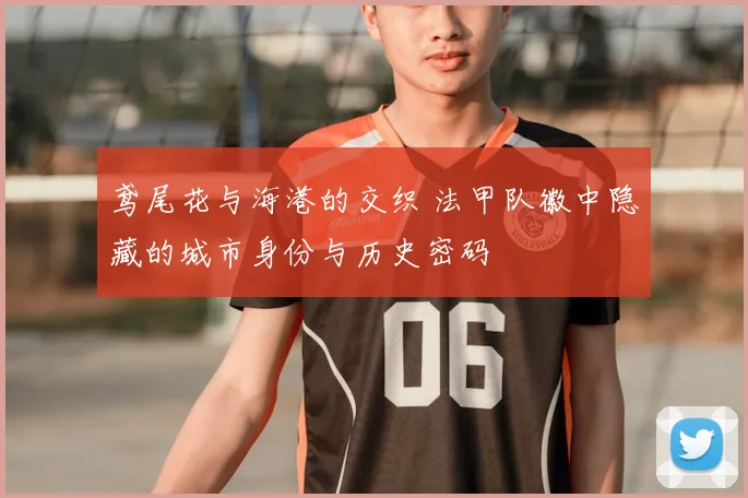 鸢尾花与海港的交织 法甲队徽中隐藏的城市身份与历史密码