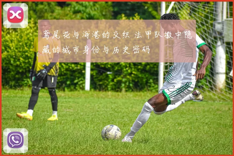 鸢尾花与海港的交织 法甲队徽中隐藏的城市身份与历史密码