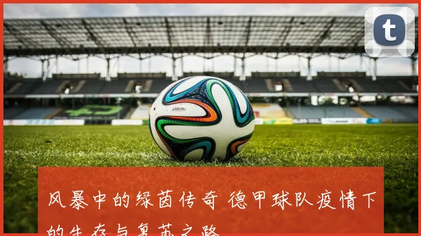 风暴中的绿茵传奇 德甲球队疫情下的生存与复苏之路