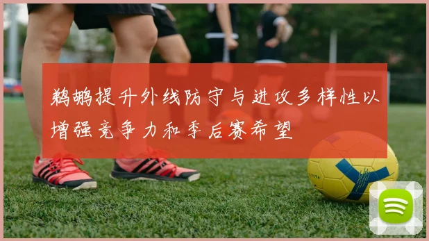 鹈鹕提升外线防守与进攻多样性以增强竞争力和季后赛希望